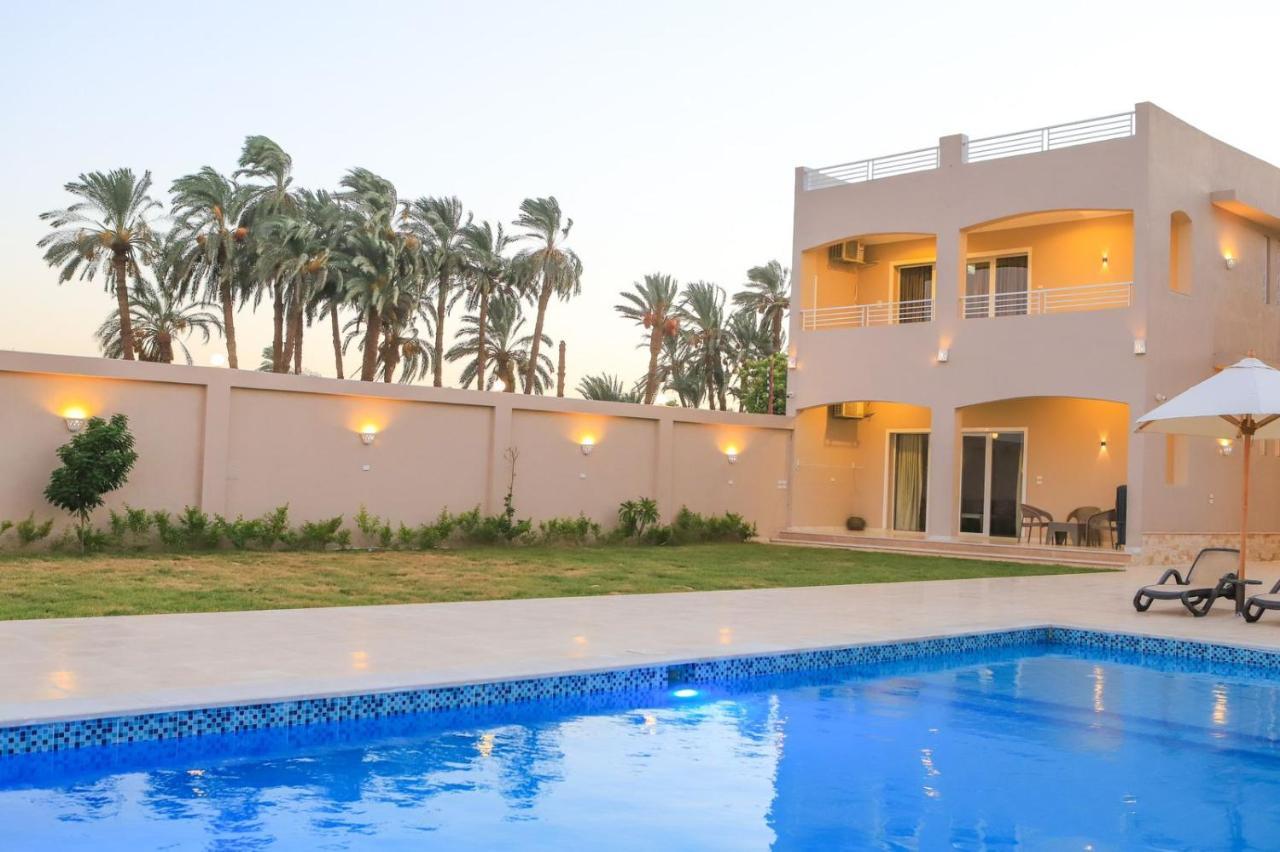 Royal Nile Villas - Pool View Apartment 2 Luxor Exteriér fotografie